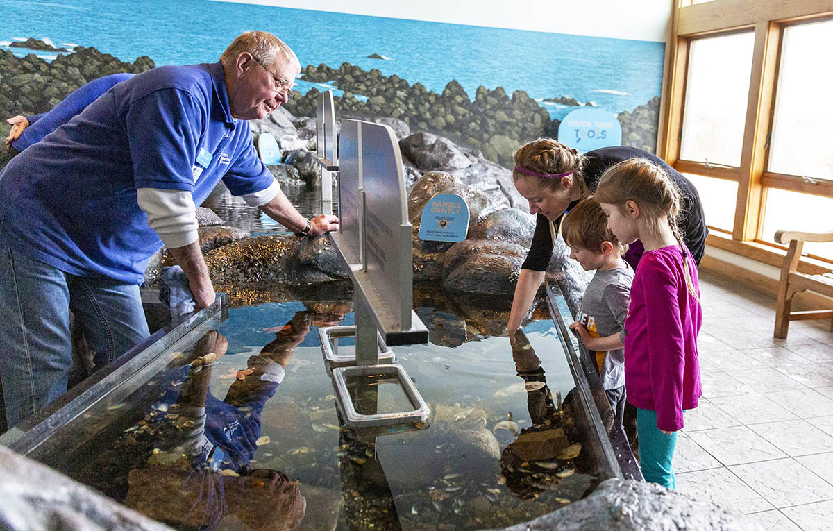 people standing around a touch tank inside an aquarium