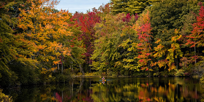 Someone Kayaking on a lake