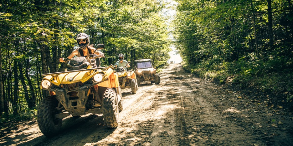 people on ATVS on a sunny summer day driving through the woods
