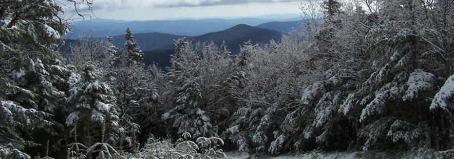 View from the summit of Mount Moosilauke with trees covered in snow on a sunny day
