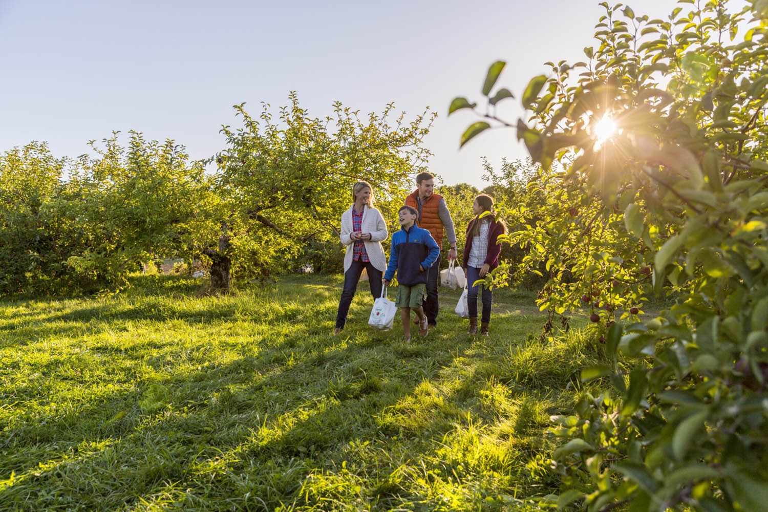 Family in apple orchard carrying bags of apples