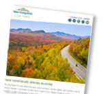 Image of a newsletter with picture of a road in the fall