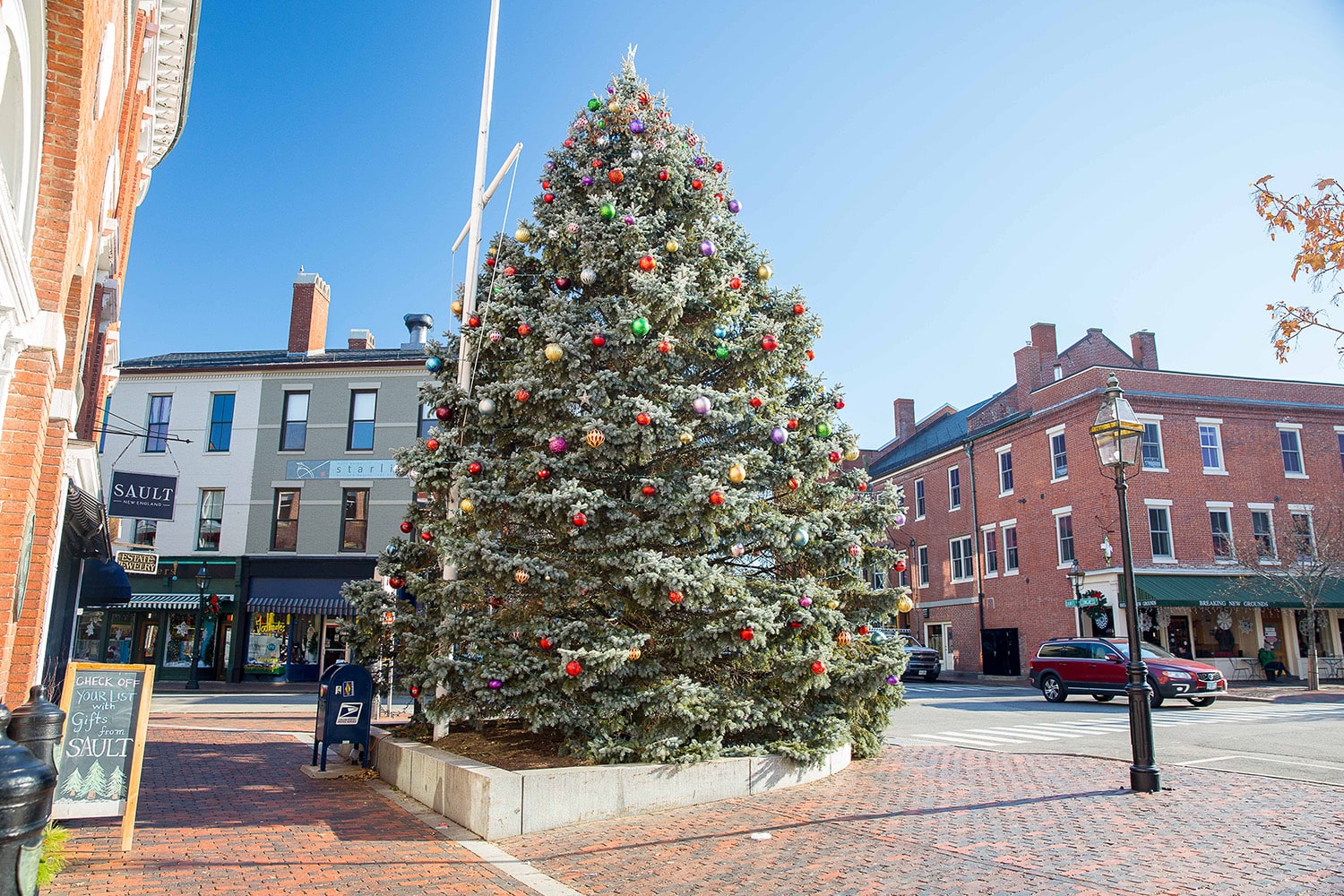 image of down town Portsmouth's Christmas tree