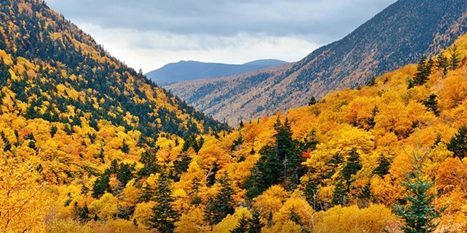 Mountains with yellow and green foliage