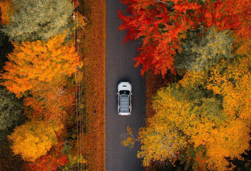 aerial view of a car on a road surrounded by foliage
